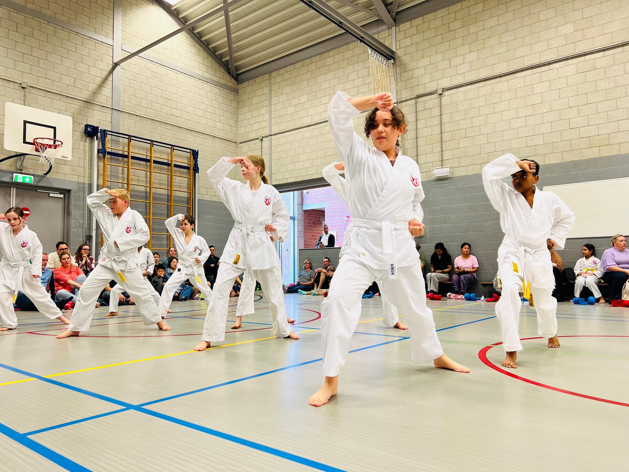 Karate voor jeugd en jongeren in Leidsche Rijn Utrecht