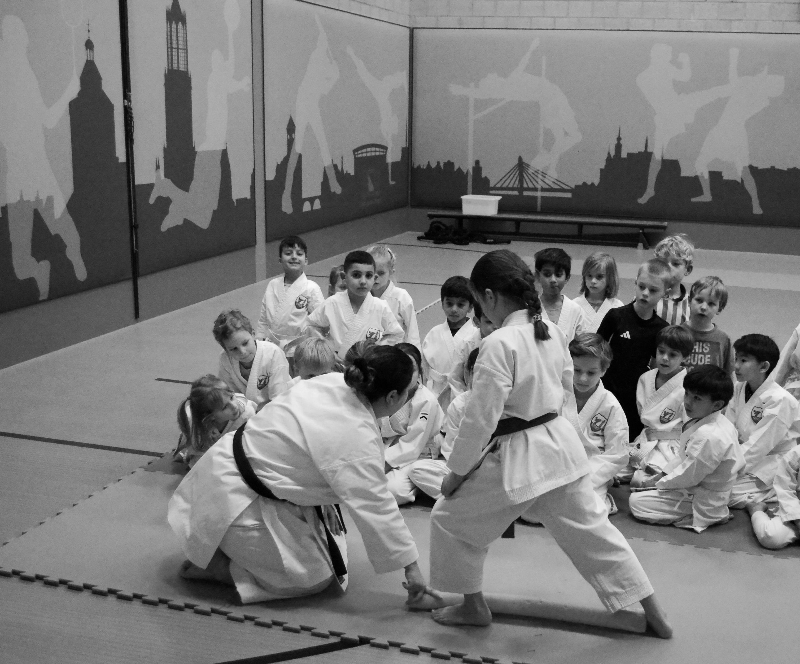 Karate Team Utrecht - Little Ninjas karate 5-7 jaar - sporten in Utrecht Leidsche Rijn