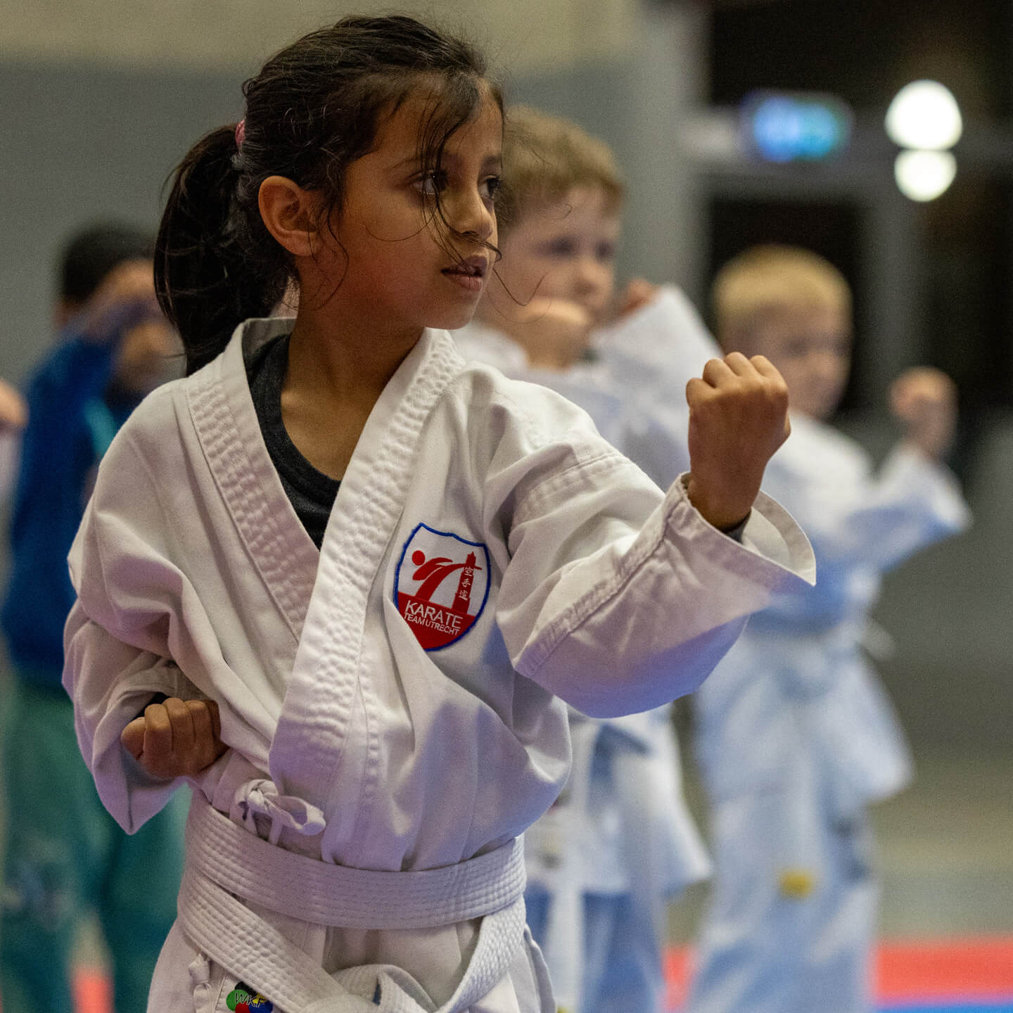 Ninja Karate training in Leidsche Rijn Utrecht
